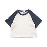 ネイビーブルー | リブラグランTシャツ | F.O.Online Store