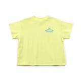 WEB限定 バリエーションロゴTシャツ | F.O.Online Store | 詳細画像22