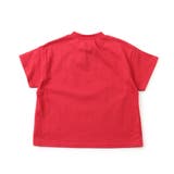 WEB限定 バリエーションロゴTシャツ | F.O.Online Store | 詳細画像25