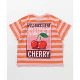 バリエーションTシャツ | F.O.Online Store | 詳細画像2