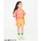 バリエーションTシャツ | F.O.Online Store | 詳細画像5
