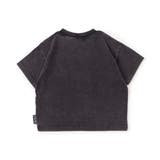 ヴィンテージ恐竜Tシャツ | F.O.Online Store | 詳細画像2 