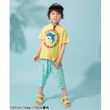 4柄アニマルTシャツ | F.O.Online Store | 詳細画像14 