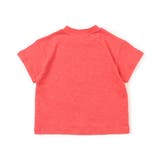 4柄アニマルTシャツ | F.O.Online Store | 詳細画像6 