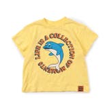 4柄アニマルTシャツ | F.O.Online Store | 詳細画像8 