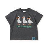 チャコール | 4柄アニマルTシャツ | F.O.Online Store