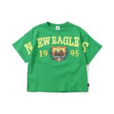 グリーン | 【ジュニア対応】WEB限定 5色5柄カレッジTシャツ | F.O.Online Store