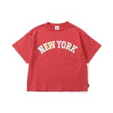 レッド | 【ジュニア対応】WEB限定 5色5柄カレッジTシャツ | F.O.Online Store