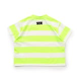 WEB限定 ネオンボーダーTシャツ | F.O.Online Store | 詳細画像14