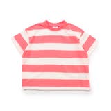 WEB限定 ネオンボーダーTシャツ | F.O.Online Store | 詳細画像3