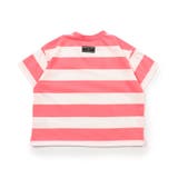 WEB限定 ネオンボーダーTシャツ | F.O.Online Store | 詳細画像4