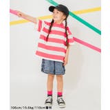WEB限定 ネオンボーダーTシャツ | F.O.Online Store | 詳細画像5