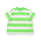 グリーン | WEB限定 ネオンボーダーTシャツ | F.O.Online Store