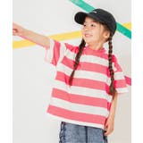ピンク | WEB限定 ネオンボーダーTシャツ | F.O.Online Store