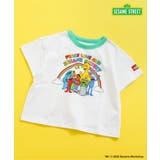 【リンク】SESAME STREET リンガーTシャツ | F.O.Online Store | 詳細画像1