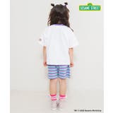 【リンク】SESAME STREET リンガーTシャツ | F.O.Online Store | 詳細画像12