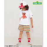 【リンク】SESAME STREET リンガーTシャツ | F.O.Online Store | 詳細画像14