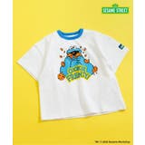 ブルー | 【リンク】SESAME STREET リンガーTシャツ | F.O.Online Store