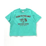 【リンク】ロゴ&モチーフバリエーション半袖Tシャツ | F.O.Online Store | 詳細画像13 