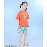 【リンク】ロゴ&モチーフバリエーション半袖Tシャツ | F.O.Online Store | 詳細画像15 