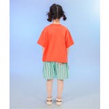 【リンク】ロゴ&モチーフバリエーション半袖Tシャツ | F.O.Online Store | 詳細画像16 