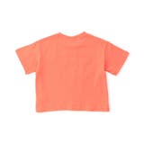グラフィックバリエーションTシャツ | F.O.Online Store | 詳細画像15 