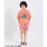 グラフィックバリエーションTシャツ | F.O.Online Store | 詳細画像18 