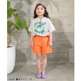 グラフィックバリエーションTシャツ | F.O.Online Store | 詳細画像7 