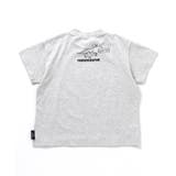 福井県立恐竜博物館コラボ DinoフォトTシャツ | F.O.Online Store | 詳細画像10 