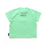 福井県立恐竜博物館コラボ DinoフォトTシャツ | F.O.Online Store | 詳細画像3 