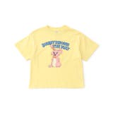 イエロー | ファニーアニマルTシャツ | F.O.Online Store