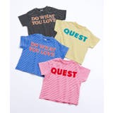 【リンク】ボーダーロゴTシャツ | F.O.Online Store | 詳細画像15