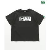 福井県立恐竜博物館×アニアコラボ 恐竜Tシャツ(子ども) | F.O.Online Store | 詳細画像2 
