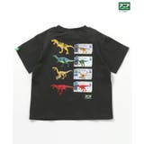 福井県立恐竜博物館×アニアコラボ 恐竜Tシャツ(子ども) | F.O.Online Store | 詳細画像3 
