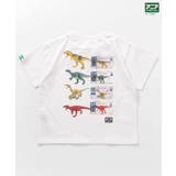 福井県立恐竜博物館×アニアコラボ 恐竜Tシャツ(子ども) | F.O.Online Store | 詳細画像5 