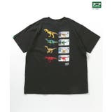 福井県立恐竜博物館×アニアコラボ 恐竜Tシャツ(大人) | F.O.Online Store | 詳細画像2