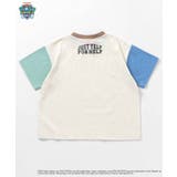 パウ・パトロール バリエーションTシャツ | F.O.Online Store | 詳細画像15