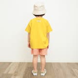 カラバリイージーパンツ 4分丈(一部WEB限定カラー)  4分丈 | F.O.Online Store | 詳細画像15 