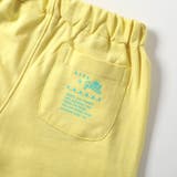 カラバリイージーパンツ 4分丈(一部WEB限定カラー)  4分丈 | F.O.Online Store | 詳細画像35 