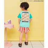 【26夏新作】カラバリイージーハーフパンツ 4分丈 | F.O.Online Store | 詳細画像20