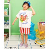 【26夏新作】カラバリイージーハーフパンツ 4分丈 | F.O.Online Store | 詳細画像21
