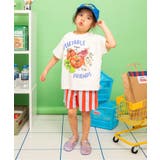【26夏新作】カラバリイージーハーフパンツ  4分丈 | F.O.Online Store | 詳細画像33 