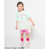 WEB限定 ラインカットソーパンツ | F.O.Online Store | 詳細画像18