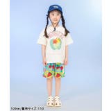 【サマーエール】4柄ハーフパンツ 5分丈 | F.O.Online Store | 詳細画像17