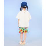 【サマーエール】4柄ハーフパンツ 5分丈 | F.O.Online Store | 詳細画像18