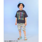 【サマーエール】4柄ハーフパンツ  5分丈 | F.O.Online Store | 詳細画像3 