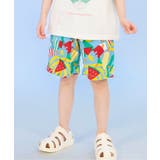 サックス | 【サマーエール】4柄ハーフパンツ  5分丈 | F.O.Online Store