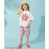 サマーエール 総柄プリペラパンツ 5分丈 | F.O.Online Store | 詳細画像24