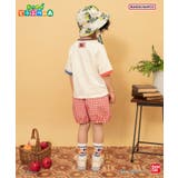 【リンク】ギンガムチェックパンツ 4分丈 | F.O.Online Store | 詳細画像12