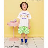 イロガラタックハーフパンツ 5分丈 | F.O.Online Store | 詳細画像7
